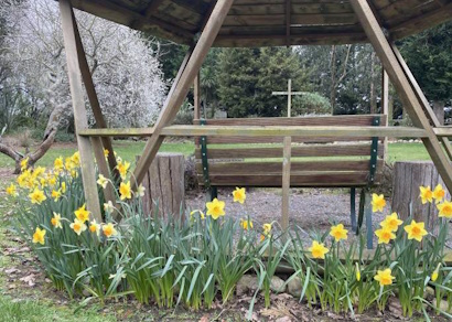 Pergola with daffodils around it.